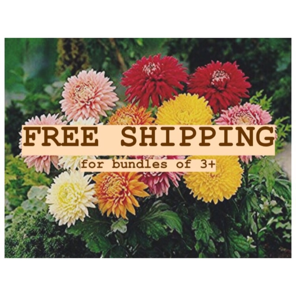 FREE BUNDLE SHIPPING